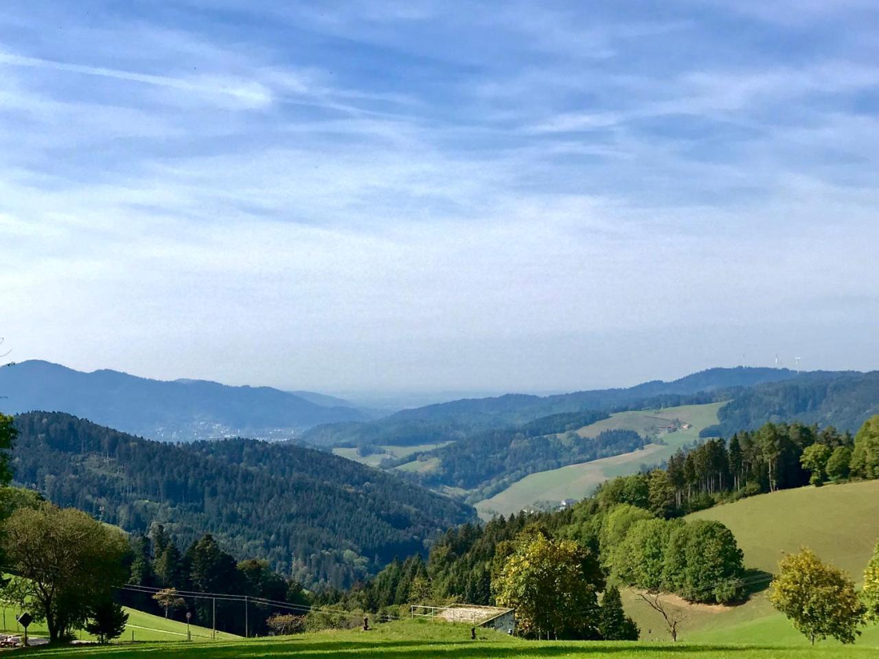 Schwarzwaldmaedel Appartement Sankt Peter Buitenkant foto
